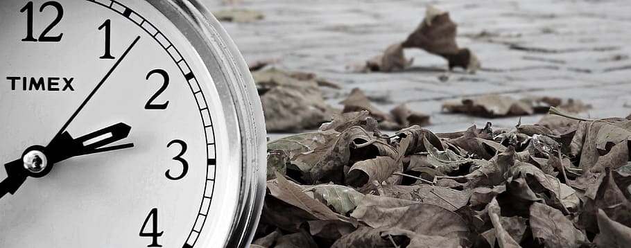 круглый серебряный аналог часов, часы, коричневый, листья, зимнее время, преобразование времени, время, указание времени, будильник, осень