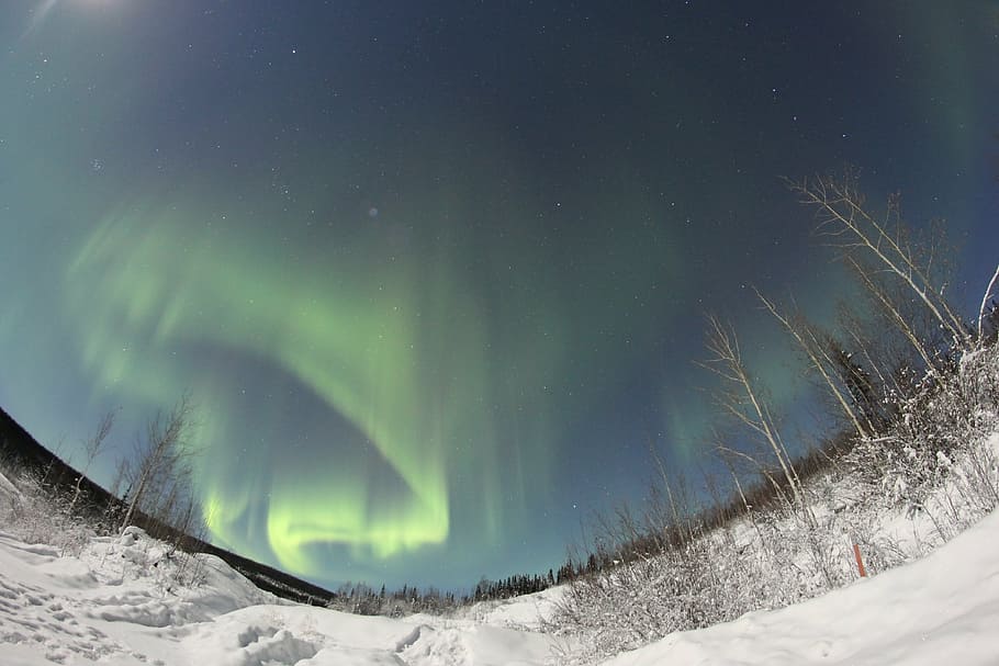 aurora boreal, auroras boreales, noche, cielo, paisaje, norte, nieve, mágico, color, estrellas