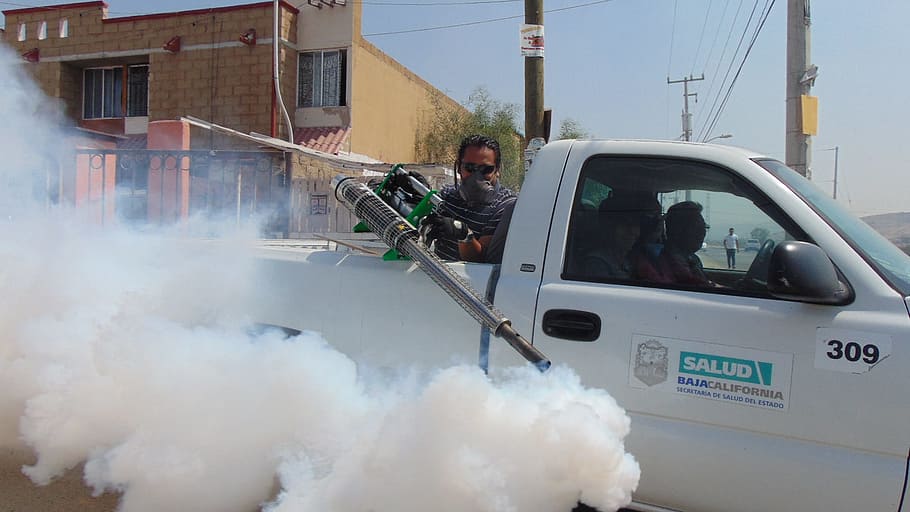 man fogging, road, fumigation, street, pesticide, insect, insecticide, mosquito, pest, control