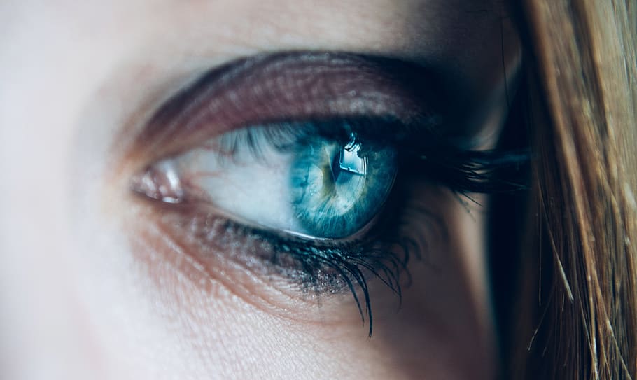 Close Up, Woman, Eye, Blue Eye, Long Hair, People, blue, Eyelash, human body part, close-up