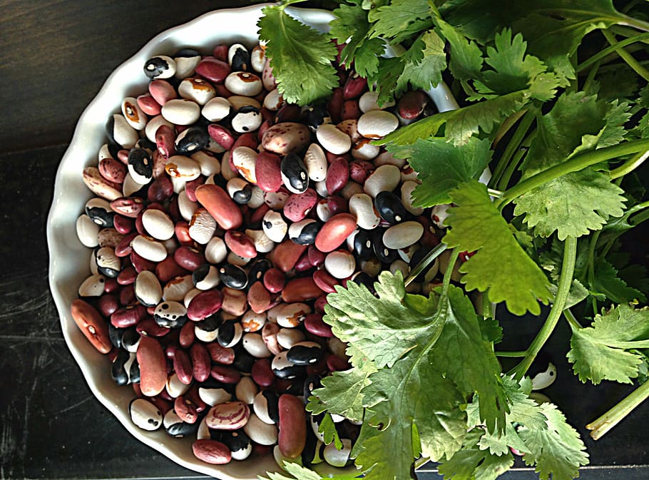 seeds, vegetables, bowl, beans, cilantro, food, table, fresh, food and drink, freshness