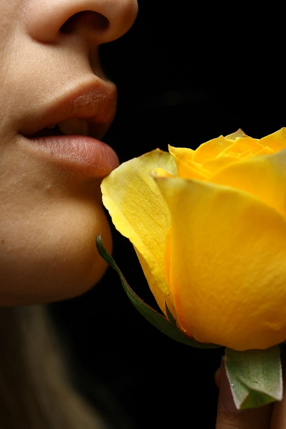 yellow, rose, person mouth, women's, face, lip, flower, model, human, nose