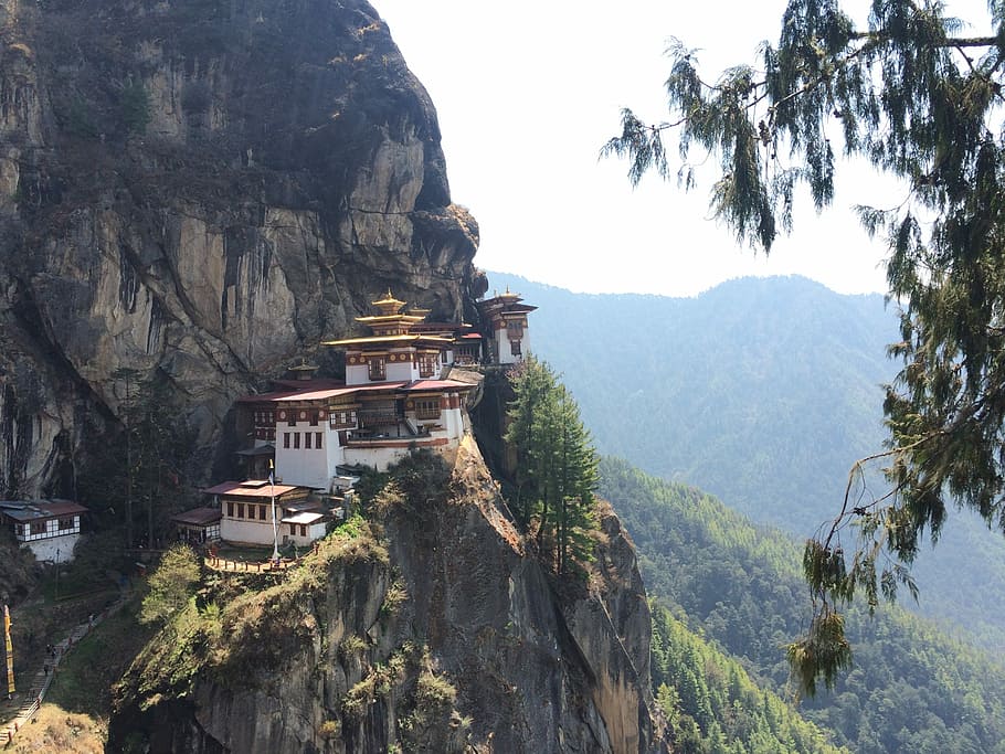 pássaro, vista aérea, branco, marrom, templo, penhasco da montanha, Tigre, Ninho, Butão, Mosteiro