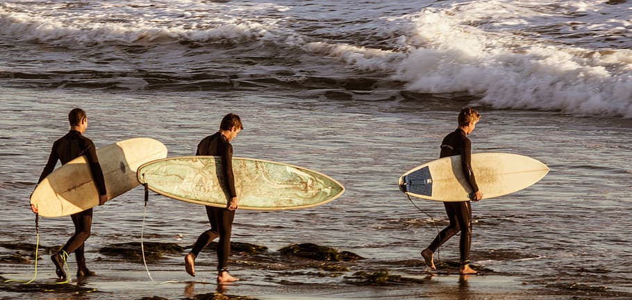 três, surfistas, carregando, bege, pranchas de surf, praia, surf, prancha de surf, mar, água