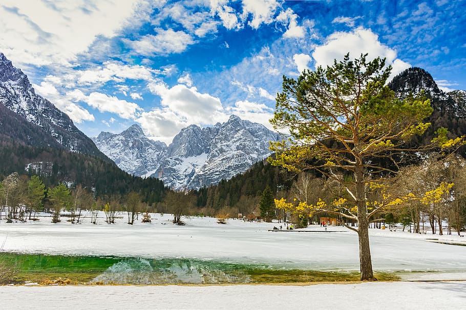 mountain, tree, water, scenery, nature, lake, beautiful, alpine, reflection, summer