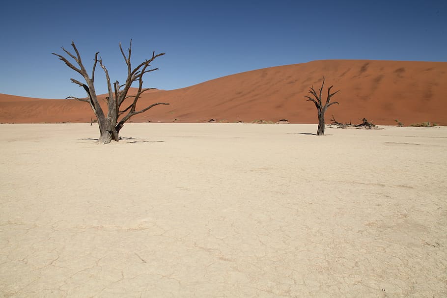 namibia, sossusvlei, africa, desert landscape, landscape, sand dune, namib desert, dunes, travel, dry
