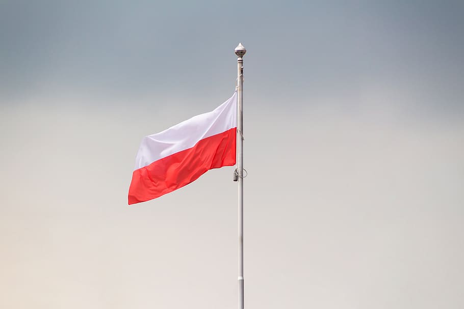 bandeira polonesa, bandeira, branco-vermelho, dia da independência, bandeira da polônia, pátria, patriotismo, dia nacional, a cerimônia, polônia