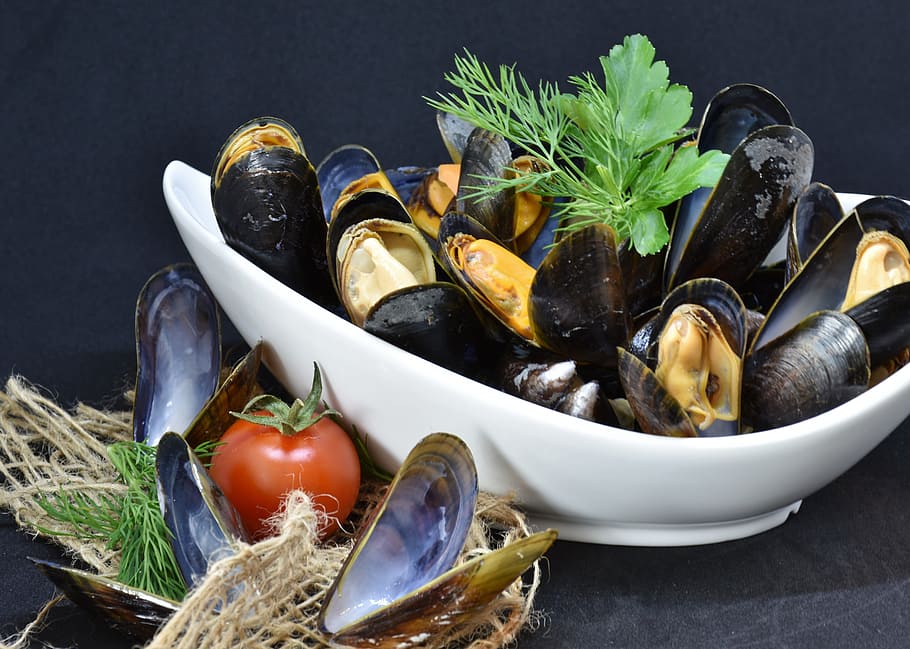 cooked, clam, tomato, mussels, mussel, common mussel, mytilidae, cook, background, healthy