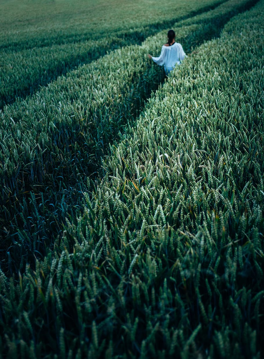 people, woman, field, alone, solo, nature, green, white, one person, land