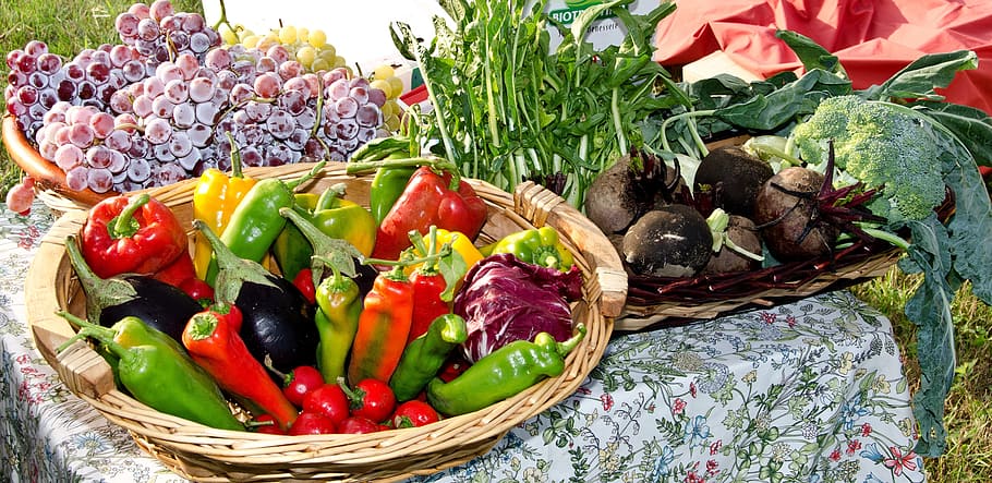 variety of vegetables, cottages-vacation rentals, vegetables, vegetable basket, supermarket, market, fair, garden, vegetable, food and drink