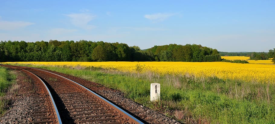 train, tracks, grass, railway, rapeseed, energy, fuel, alternative, biofuels, landscape