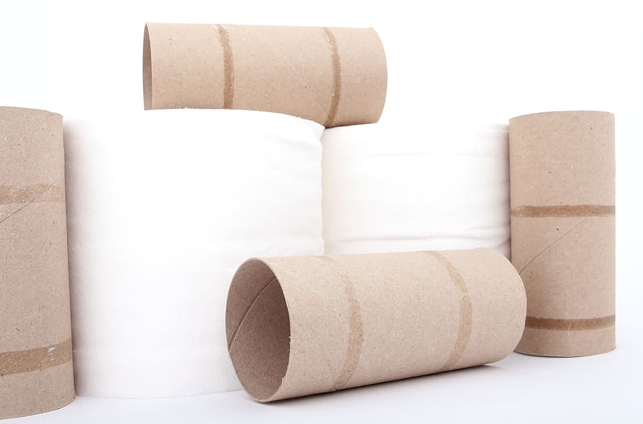 toilet paper, rolls, white, surface, basic, bathroom, bog, bottom, bowel, bum