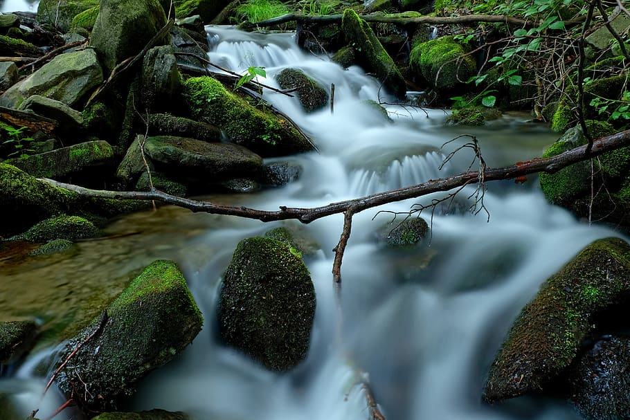 parte monolítica de las aguas, cascada, río, naturaleza, musgos, hojas, en la corte de, roca, torrente, árbol