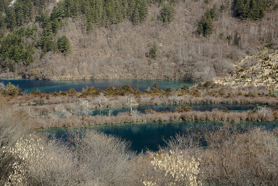 landscape, scenery, jiuzhaigou, in aba prefecture, sichuan, water, plant, beauty in nature, tranquility, tranquil scene