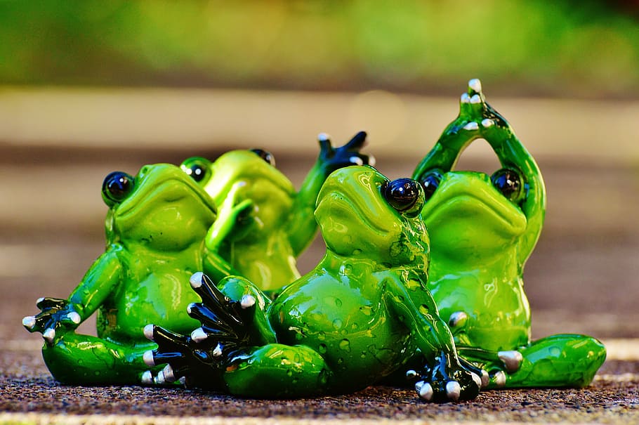 frogs, figure, yoga, gymnastics, funny, frog, green, animal, cute, sweet