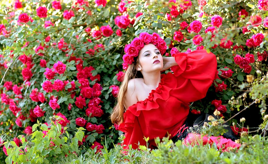woman, sitting, grass field, red, petaled flowers, girl, roses, wreath, flowers, beauty