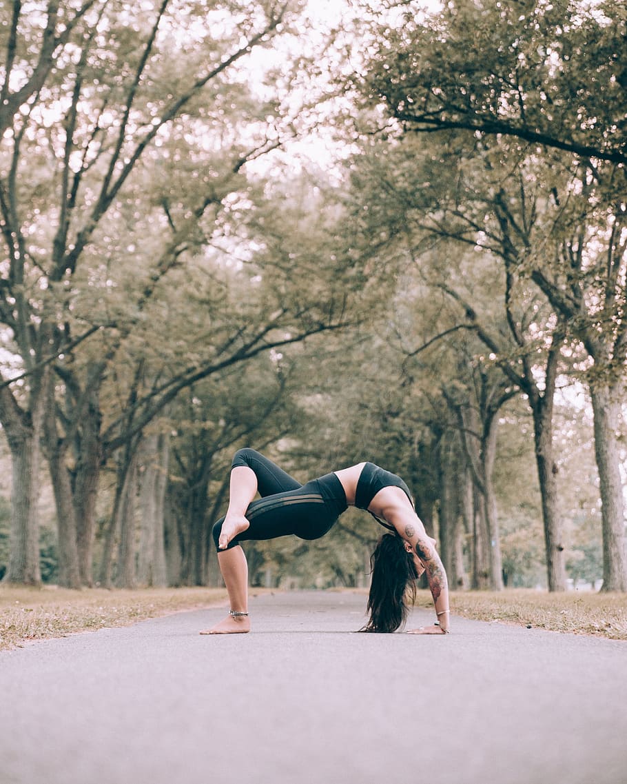 woman, yoga, trees, lady, female, person, stretch, exercise, fit, fitness