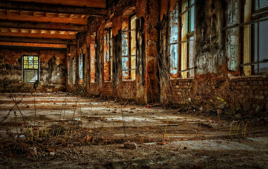 building ruines, plants, factory, hall, empty, old factory, ruin, decay, lost places, factory building
