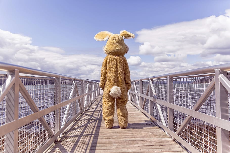 person, costume, standing, bridge, whimsical, lazy, lake, summer, warm, sky