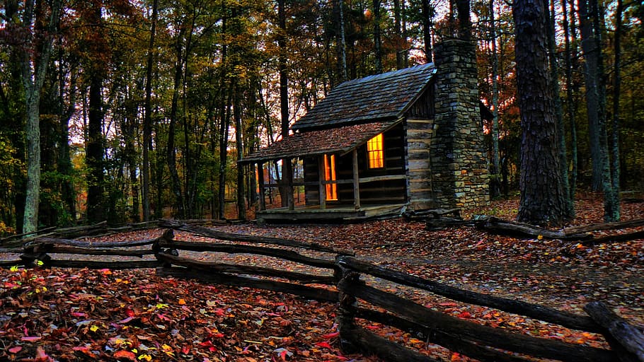 coklat, hitam, nipa hut, dikelilingi, tinggi, pohon, kabin, kayu, musim gugur, bersejarah