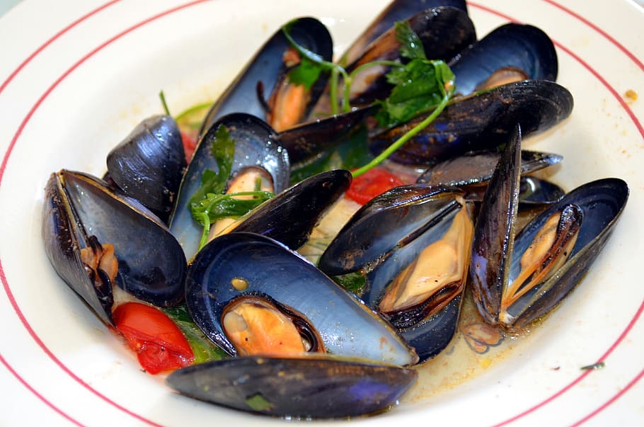 sautéed mussels, mussels, flat salentino, black mussels, mollusc, seafood, food and drink, food, plate, mussel