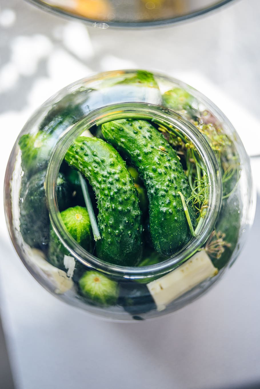pickled cucumbers, silage, cucumber, cucumber green, cucumbers in a jar, organic cucumbers, cucumbers with horseradish, koper, jar, appetizer