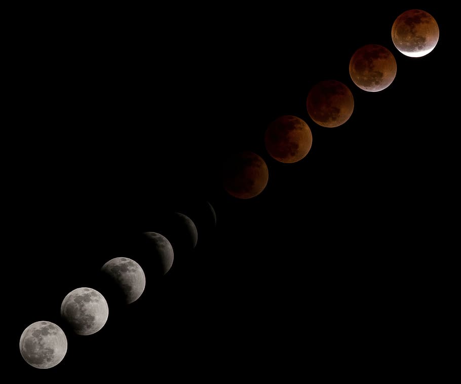 Ilustración de la luna, luna de sangre, eclipse lunar, secuencia, fases, cielo, astronomía, telescopio, solar, luna