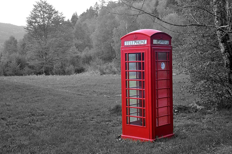 telephone booth, the scenery, phone, red, beautiful, trees, grassland, telephone, tree, communication