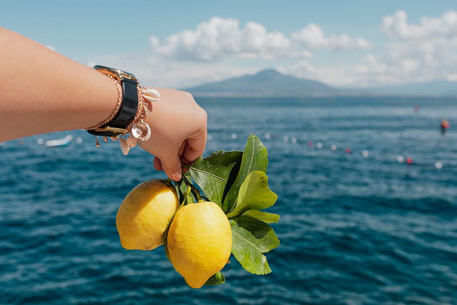 campania, Italy, italian, fruits, amalfi, Lemons, Sorrento, water, sea, one person