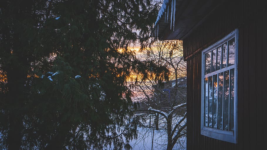 evening, winter, snow, sunset, nature, landscape, trees, twilight, window, village