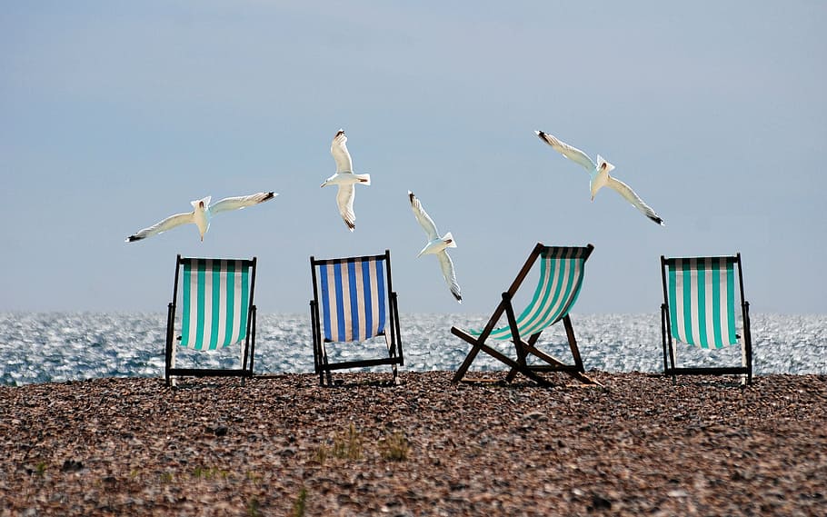 cuatro, verde, azul, plegable, sillas, orilla del mar, verano, playa, gaviotas, tumbonas