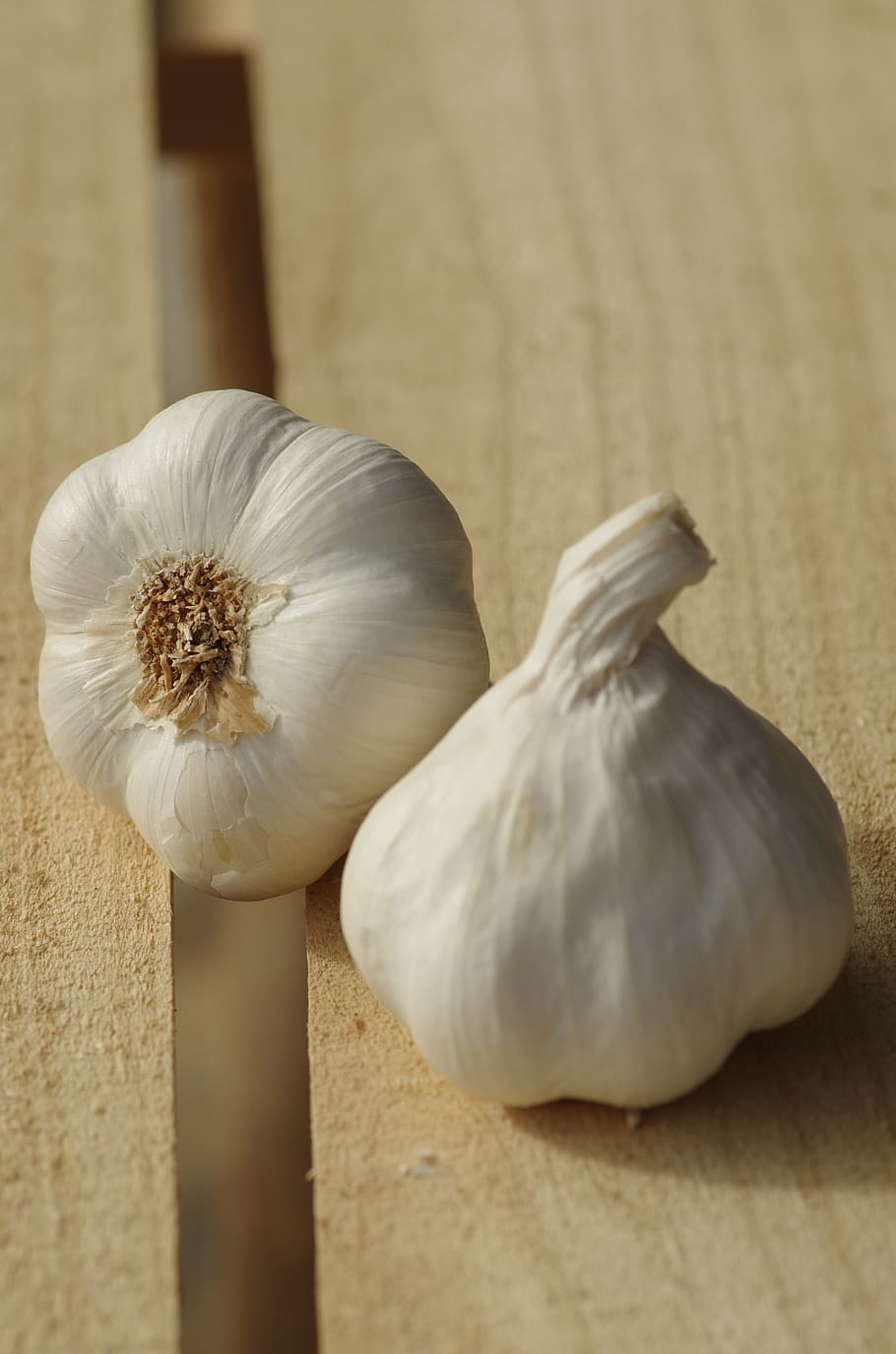garlic, garlic white, garlic grown, food, harvest, vegetable, kitchen, flavor, culture, agriculture