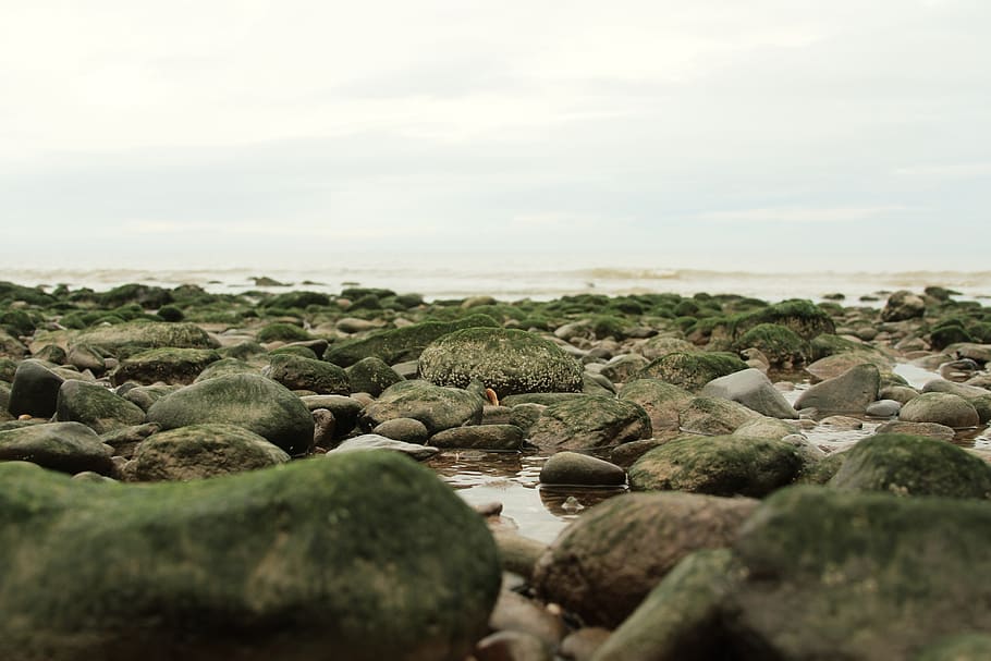 Low tide