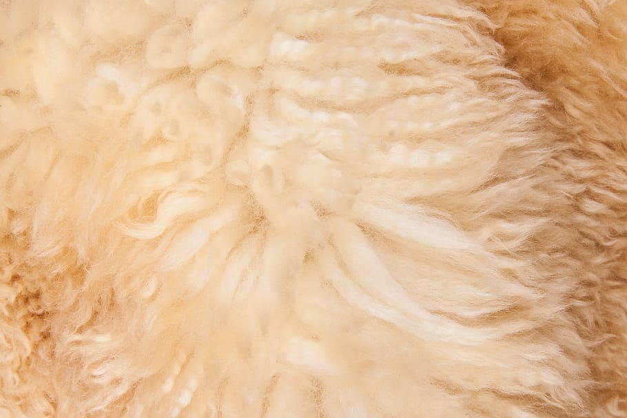 beige textile, fur, structure, fund, sheepskin, lambskin, use, coat finishing, cuddly, warm