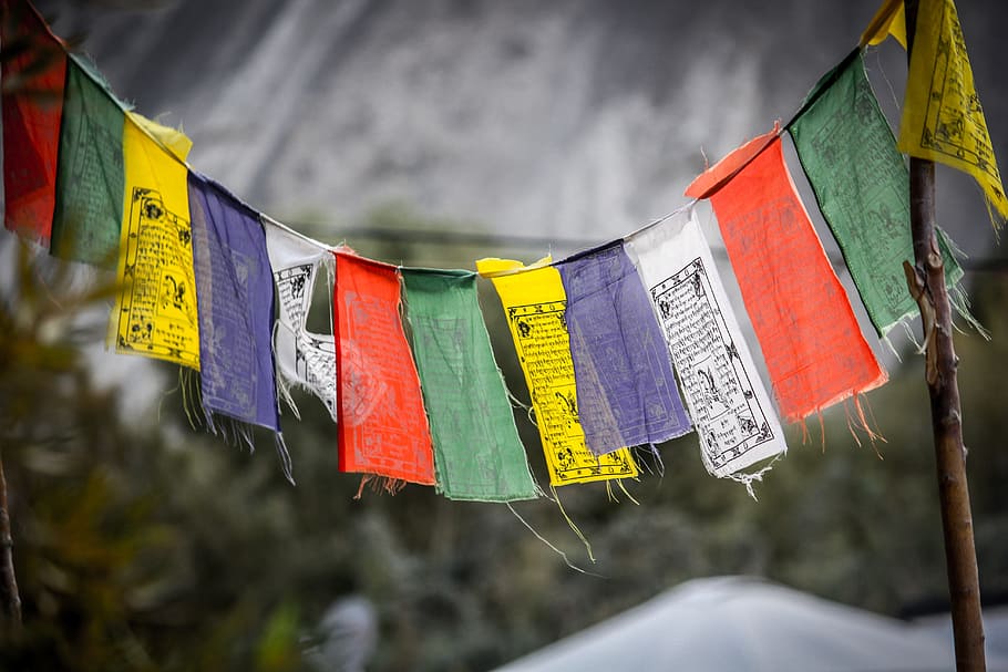 seletiva, foco fotografia, banners, fotografia, ladakh, índia, culturas, bandeira, ásia, budismo