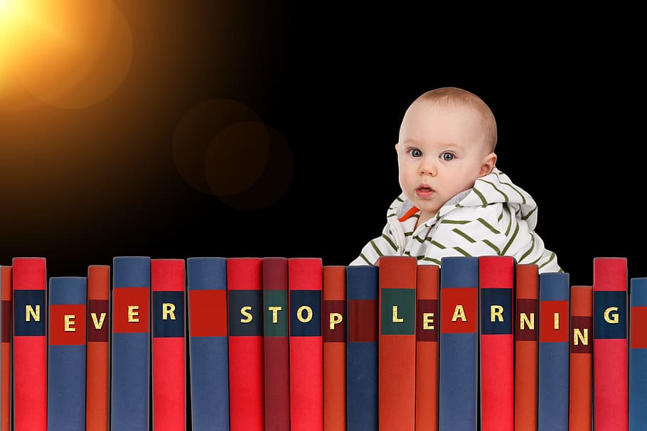 never, stop, learning, wallpaper, learn, baby, school, nursery school, board, sun