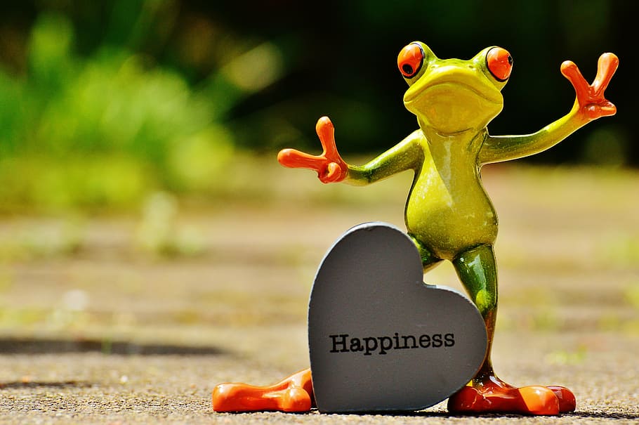 green, frog, standing, heart happiness stone wallpaper, funny, laugh, cheerful, happy, positive, smile
