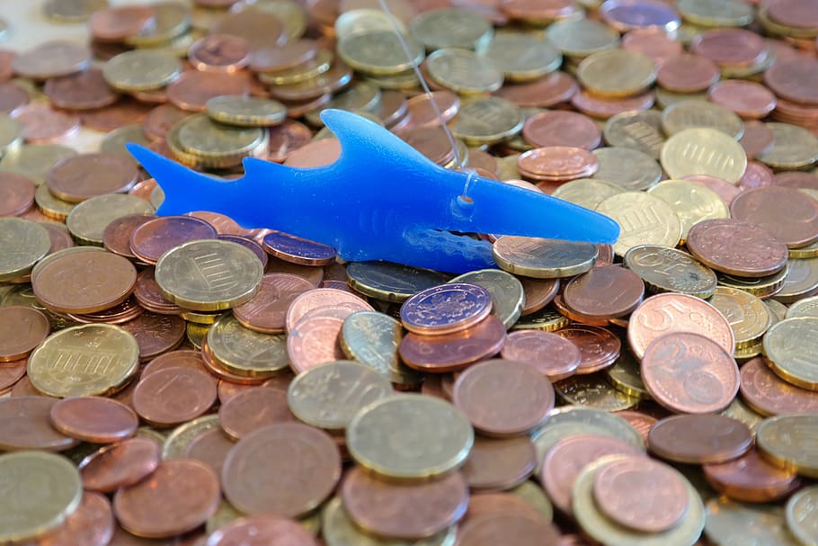 青, 釣り, ルアー, コイン, お金のサメ, セント, 正貨, 魚, サメ, お金