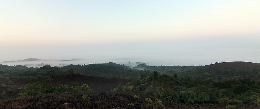 coorg, fog, forests, greenery, hills, jungles, landscape, mist, mountains, nature