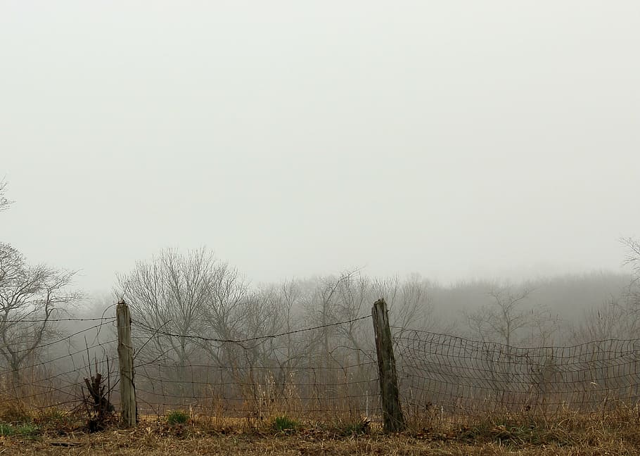 rural, country, fence, post, wood, wire, fog, mist, grey, dreary