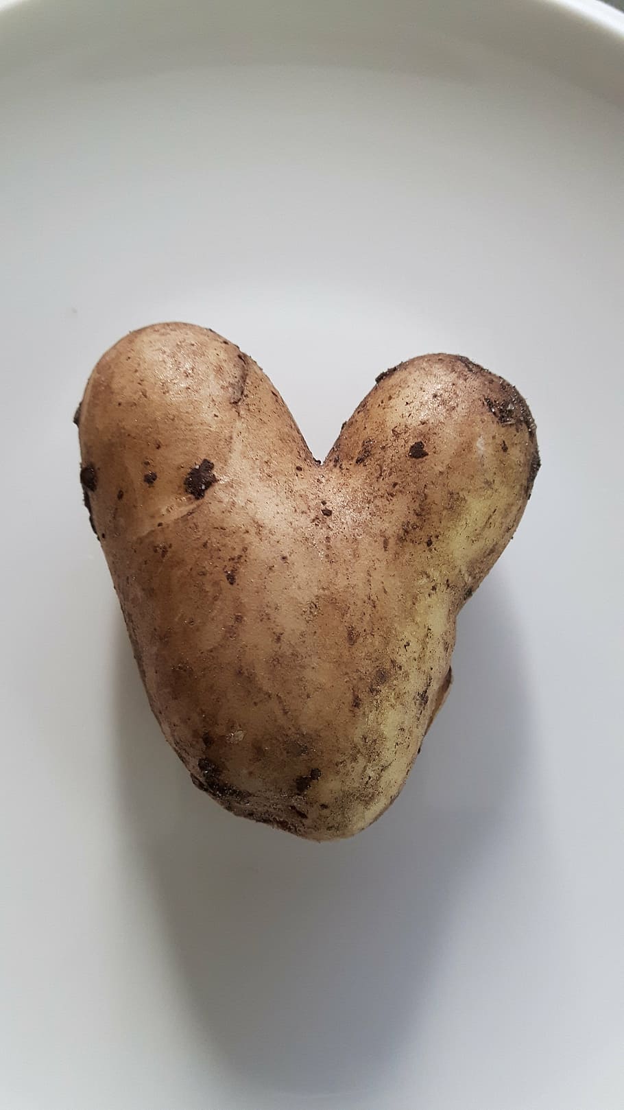 potato, heart, love, funny, fashion, vegetables, food, heart Shape, indoors, studio shot