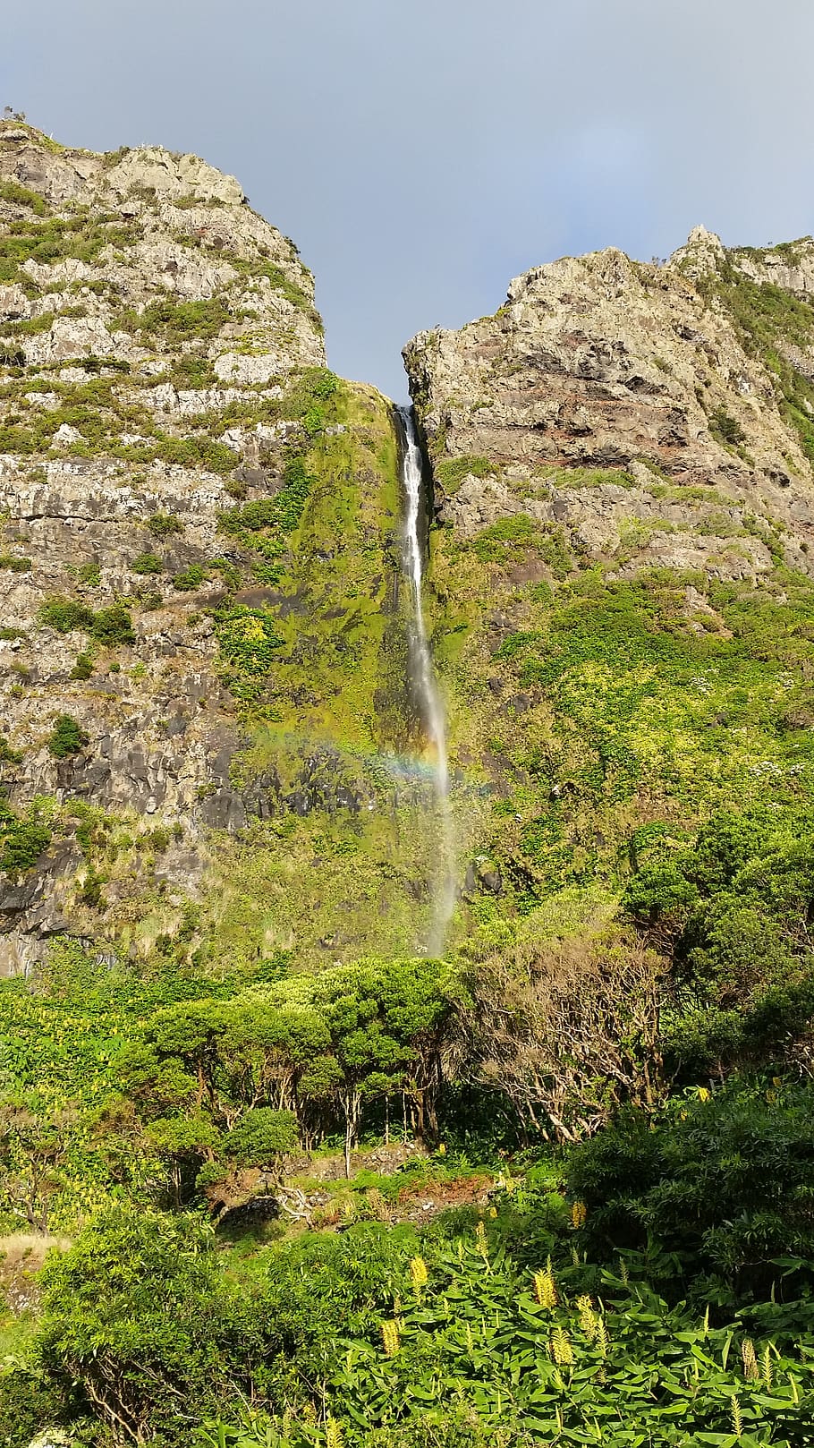 cliff, greenery, scenic, tropical, nature, rocks, waterfall, azores, flores, plant