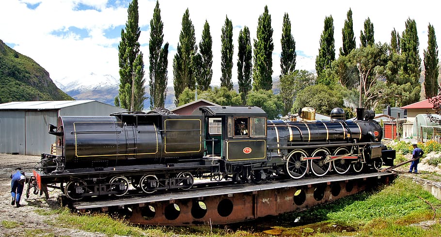 Kingston Flyer, meja putar, NZ, kereta api, jembatan, pinus, pohon, transportasi kereta api, tanaman, kereta - kendaraan