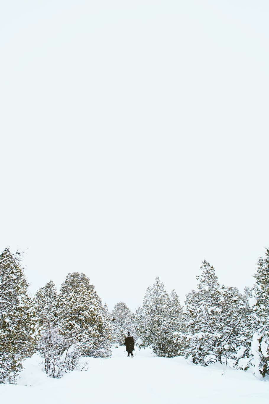 man, holding, ski pole, snow field, snow, winter, white, cold, weather, ice
