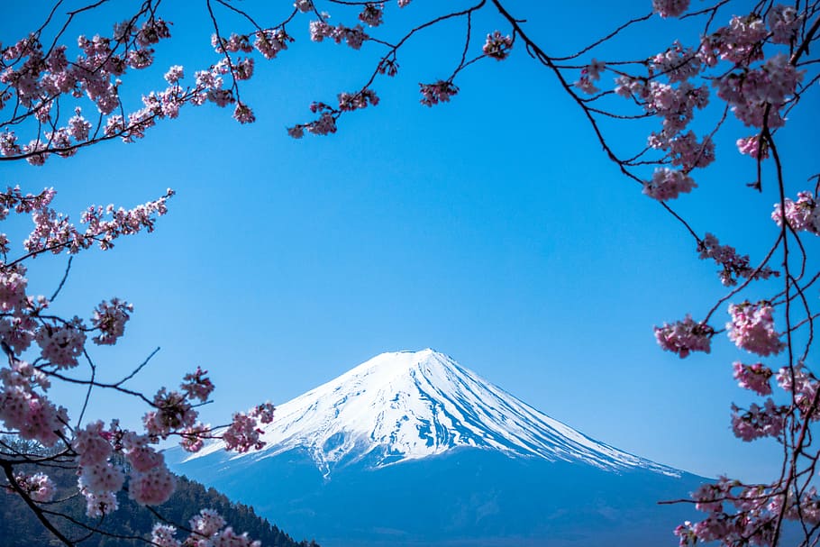 gunung fuji, jepang, gunung, dataran tinggi, biru, langit, puncak, punggungan, pemandangan, alam