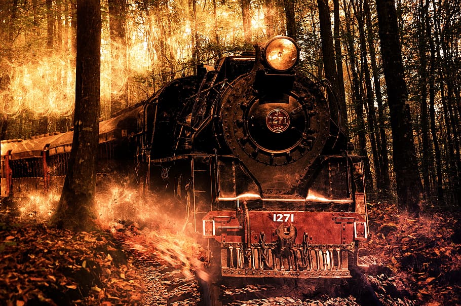 black, red, train, green, leafed, trees, engine, forest, locomotive, composition