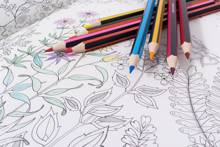 Lápis, Desenho, Livro, Colorido, criatividade, esboço, desenhar, flores, rascunho, papel