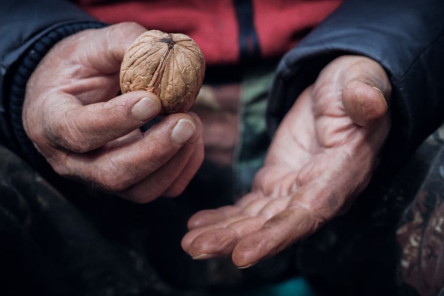 hands, nuts, food, nut, peanuts, offering, nature, eat, work, man