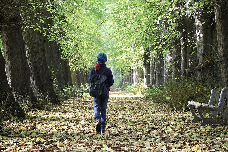 Personal forest. Одинокий лес.