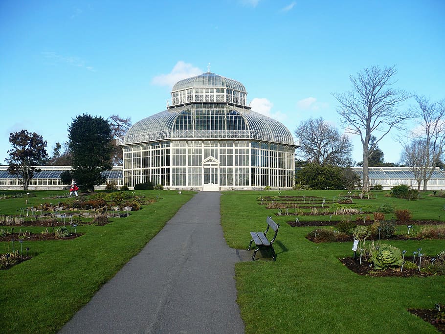 Botanical, Greenhouse, Dublin, 